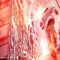 عکس نخسه ی کامل نماهنگ زیبای شهدای آتش نشان ازحامد زمانی