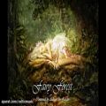 عکس موسیقی سلتیک - جنگل سحرآمیز Fairy Forest