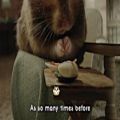 عکس عالی! زندگی یک همستر (موزیک ویدئو کتی پری)