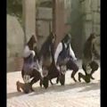 عکس رقص ترکیه ای Karadeniz سال (1985)