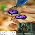 عکس قانون نوازی - ملیحه سعیدی