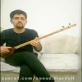 عکس تکنوازی سه تار سعید مرسلی ساری گلین - blonde bride, solo setar performance by saeed morsali--