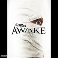 عکس Skillet- Awake And Alive Lyrics (HD)