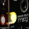 عکس آنالوگ Delay های کمپانی Moog 500 Series توسط Andrew Sch