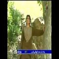 عکس موزیک ویدیو افغانی ... افغانی ها ببینن حالشو ببرن 1