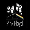 عکس موسیقی به یاد ماندنی گروه pink floyd
