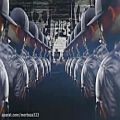 عکس Watch Dogs 2 OST - Marcus Holloway Theme song [Extended Remix] (Boys Noize