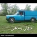 عکس دانلود آهنگ شاد و رقص نیسان تنهای وحشی ایرانی