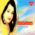 عکس Zeeba Sanam - Beha K Rowa - Balochi Regional Songs
