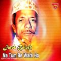 عکس Jarok Baloch - Na Tum Be Wafa Ho - Balochi Regional Songs