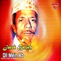 عکس Jarok Baloch - Dil Mein Ab - Balochi Regional Songs