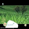 عکس کیش و زندگی - ترانه بهار با صدای آیتام عباسی مهر - 96