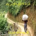 عکس مجموعه نغمات دلنشین سریال پس از باران / فریدون پور رضا