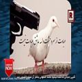 عکس آهنگ جنجالی محمد اصفهانی که منجر به ممنوع التصویریش شد! هنرمند با شرف