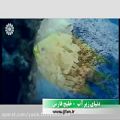 عکس نماهنگ ؛ « دنیای زیرآب خلیج فارس » از شبکه جهانی جام جم