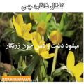 عکس بهار دلنشین با صدای استاد غلامحسین بنان