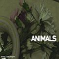 عکس Maroon 5 - Animals (Lyric Video)