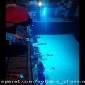 عکس کنسرت شیراز-اجرای آهنگ شاید Soltane-Ehsas.ir