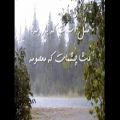 عکس آهنگ برای باران مازیار فلاحی