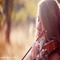 عکس For the Dancing and the Dreaming (From How to Train Your Dragon 2) - Violin Cover - Taylor Davis