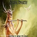 عکس موسیقی سلتیک خیال انگیز - رویاهای درویدی Druidic Dreams