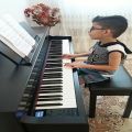 عکس نواختن آهنگ ملودی با پیانو توسط مانی احمدی