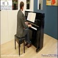 عکس نوازندگی با پیانو آکوستیک - دیواری پرزینا مدل 112
