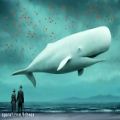 عکس iday - whale