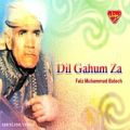 عکس Faiz Muhammad Baloch - Dil Gahum Za - Balochi Regional Songs