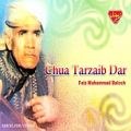 عکس Faiz Muhammad Baloch - Chua Tarzaib Dar - Balochi Regional Songs