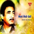 عکس Abdul Aziz Baloch - Mani Mah Gull - Balochi Regional Songs