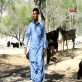 عکس Iqbal Sabir - Tai Rah Nacha - Balochi HD Songs