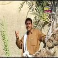 عکس Arif Baloch - Sera Sahel - Balochi HD Songs