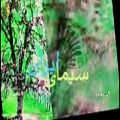 عکس Alireza Eftekhari - Ghadah علیرضا افتخاری-قدح