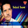 عکس Sabzal Saami - Ho Jane Jani - Balochi Regional Songs