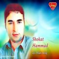 عکس Shokat Hammad - Dil Mani Ishq - Balochi Regional Songs