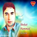 عکس Shokat Hammad - Ma Asetal - Balochi Regional Songs