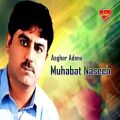 عکس Asghar Adena - Muhabat Naseeb - Balochi Regional Songs