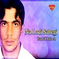 عکس Hamid Baloch - Na Lodi Sahegi - Balochi Regional Songs