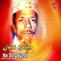عکس Jarok Baloch - Na Dil Dayndi - Balochi Regional Songs
