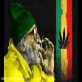 عکس Snoop Dogg Smoke weed every day (dubstep remix)