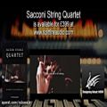 عکس وی اس تی استرینگ Spitfire Audio Sacconi Strings Quartet
