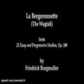 عکس Burgmüller: The Wagtail, Op. 100 No. 11 | Cory Hall, pianist-composer