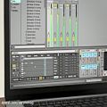 عکس MidiVolve دیوایس تولید کننده الگو های MIDI در ابلتون