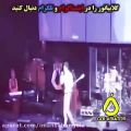 عکس تیکه سنگین شادمهر به گلزار در کنسرت Shadmehr Make Fun Of Reza Golzar