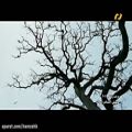 عکس موسیقی فیلم درخت زندگی 2011 الکساندر دسپلات