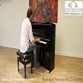 عکس پیانو آکوستیک دیواری بکشتاین آلمان مدل B112