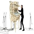 عکس خلاقیت -- «ماشین ساچمه»، دستگاه شگفت انگیز خلق موسیقی