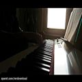 عکس اجرای زیبای پیانو آهنگ Happier از Ed Sheeran