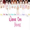 عکس Wanna One Never Lyrics Color Coded (HanIRomIEng)